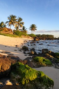 A beach in Mauritius