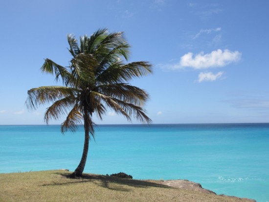 Plage de Miami (Barbade)