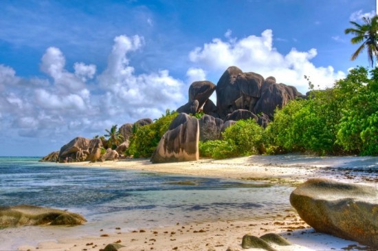 Plage protégée de Seychelles