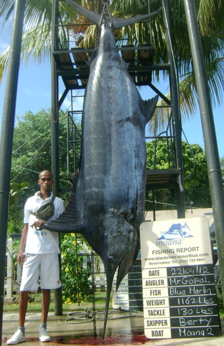 Top 4 reasons to visit Mauritius